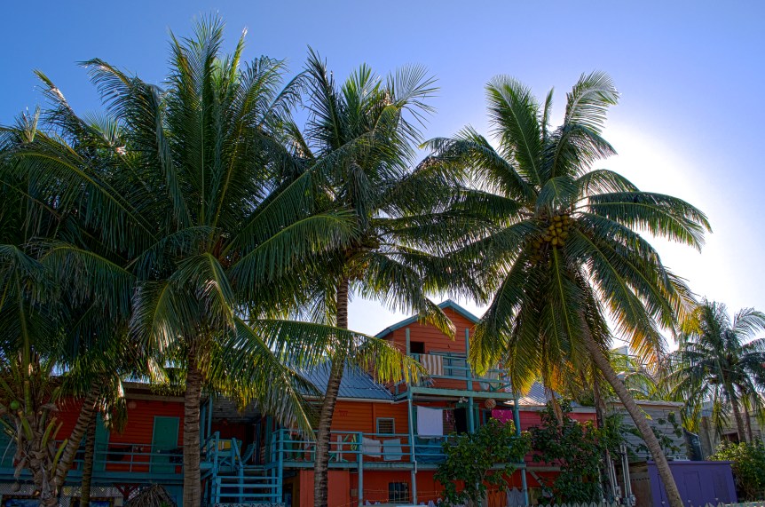 belize hostel